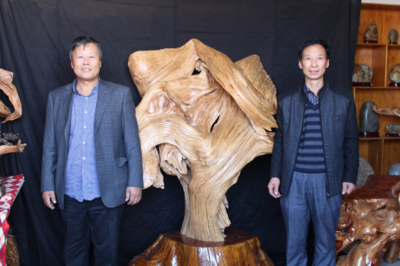 中国首届崖柏艺术展推动京津冀文化产业协同发展-财经频道-长城网